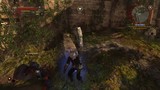 Witcher 2 - Xbox dev diary