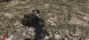 Video: War Z - gameplay