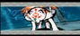 Video: Okami HD - TGS Trailer