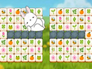 Mojicon Spring Connect