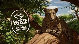 Video: Planet Zoo 2 predvádza elegantného afrického leoparda