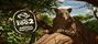 Video: Planet Zoo 2 predvádza elegantného afrického leoparda
