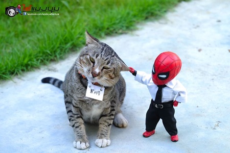Maky a Spiderman  