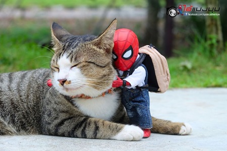 Maky a Spiderman  