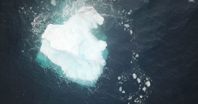 Film slovenskej režisérky Viery Čákanyovej čaká premiéra na 70. Berlinale