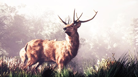 Zo sídla The House In The Hollow sa už možno nikdy nevrátite