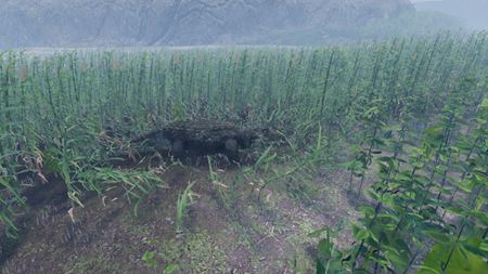 Slovenský survival titul AreaZ dostal veľký update k svojmu roku v Early Access