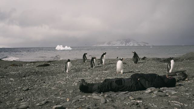 Slovenský film Biela na bielej - absolútny víťaz 24. MFDF Ji.hlava