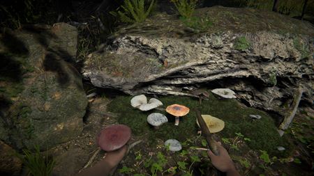 Primal Man Simulator zmapuje evolúciu človeka