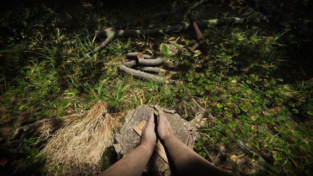 Primal Man Simulator zmapuje evolúciu človeka