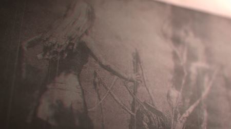 Keiichiro Toyama, tvorca Silent Hillu, odišiel zo Sony, zobral aj producenta Last Guardiana