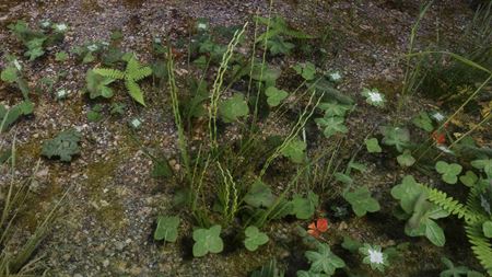 Chcete super textúry pre Skyrim? Tamrielic Textures svet hry zreálnia