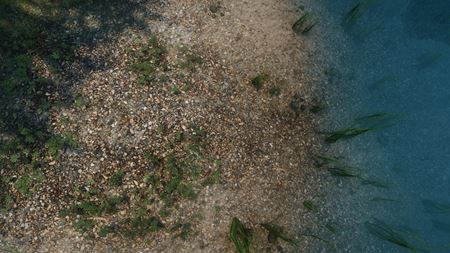 Chcete super textúry pre Skyrim? Tamrielic Textures svet hry zreálnia