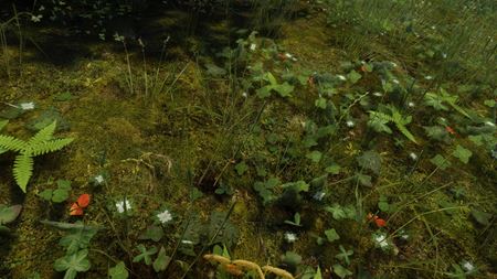 Chcete super textúry pre Skyrim? Tamrielic Textures svet hry zreálnia