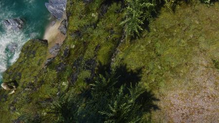 Chcete super textúry pre Skyrim? Tamrielic Textures svet hry zreálnia