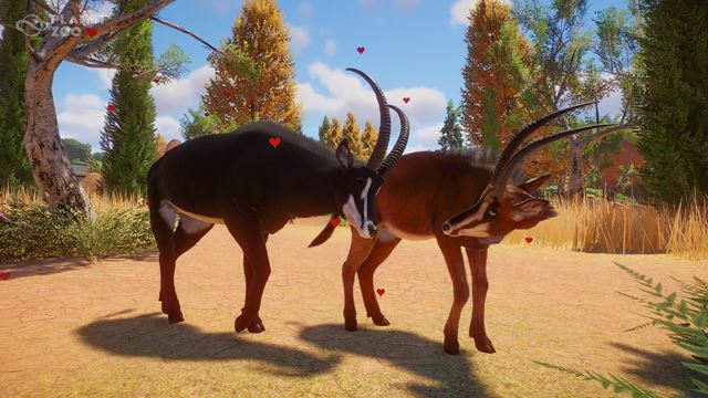 Do Planet Zoo pribudli drobné zábavné cheaty