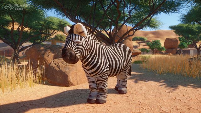 Do Planet Zoo pribudli drobné zábavné cheaty