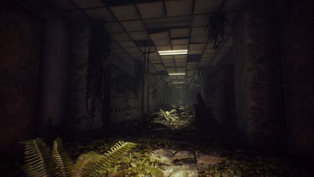 What Happened titul predstavený, príde v lete