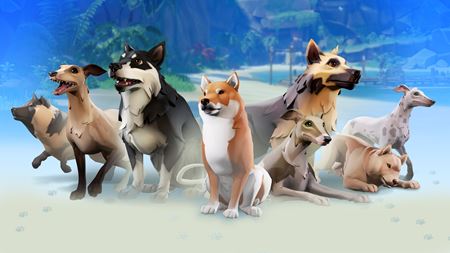 Sea of Thieves dostáva Vault of Ancients update, pridáva psov