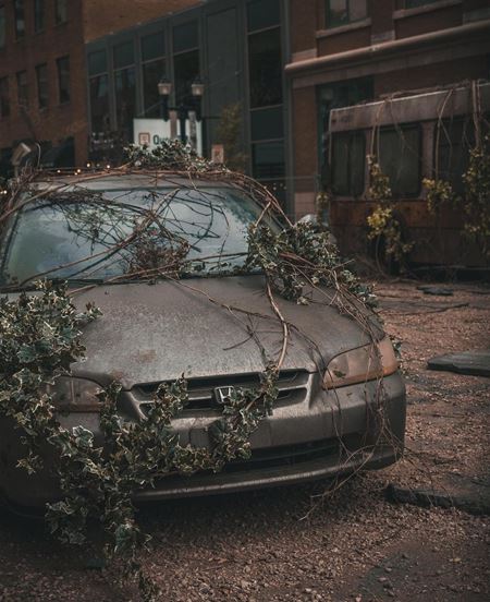 Ďalšie fotky z nakrúcania The Last of Us seriálu