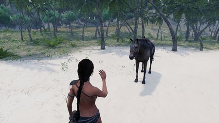 Slovenská survivalovka AreaZ prestavuje prídavok koní