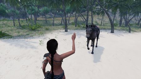 Slovenská survivalovka AreaZ prestavuje prídavok koní