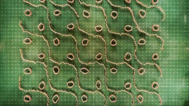 Nový slovenský film Na značky! čakajú festivalové uvedenia aj v Portugalsku