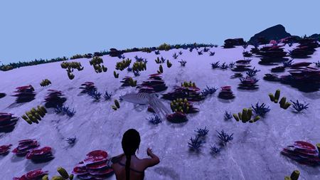 Slovenský survival AreaZ prináša morské živočíchy a plazy