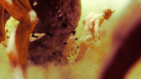 Warhammer 40,000: Chaos Gate - Daemonhunters bude taktická RPG zo známeho univerza