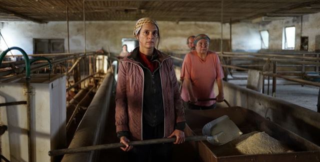 Sucho. Nový film od Bohdana Slámu, režiséra Divokých včiel či Štěstí