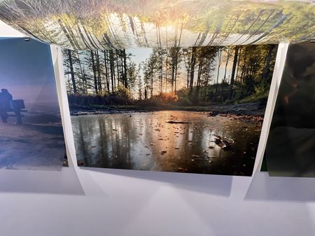 Vivo sa udomácňuje v Európe, práve predstavuje X80 Pro