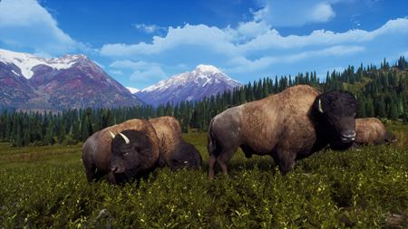 Way of the Hunter dostáva novú verziu, opravuje niekoľko chýb