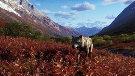 Way of the Hunter dostáva novú verziu, opravuje niekoľko chýb