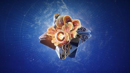 Destiny 2 dostáva PlayStation skiny
