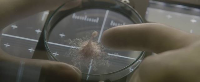 Vesmír: NASA na Zem doniesla kúsok asteroidu