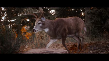 Hunting Simulator 3 bol ohlásený