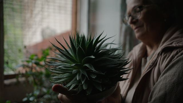 Utečenci vo vlastnej krajine. Poslední obyvatelia sanatória v gruzínskom Tskaltube