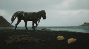 Pozrite si 18 minút z hrania islandského dobrodružstva Island of Winds