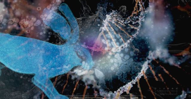 Ozveny Ji.hlavy opäť prinesú najlepší svetový dokument, otvárajú festivalovým hitom Medzi revolúciami