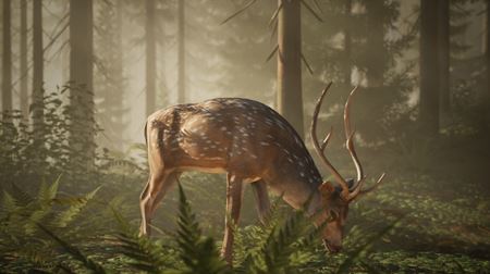 Česká hra Middle Ages: Peasants & Knights chce ponúknuť pohľad na autentický stredoveký život