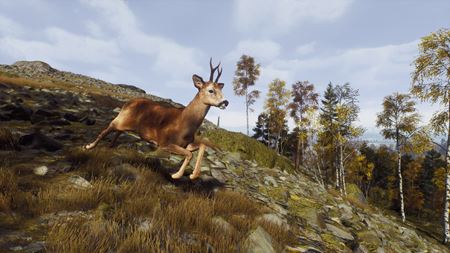Way Of The Hunter predstavuje rezerváciu Lintukoto a DLC s novými mapami a autami