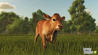 Gamescom 2024: Zase o kus realistickejší Farming Simulator 25 pridá ryžu, tornáda a rozkošné teliatka!