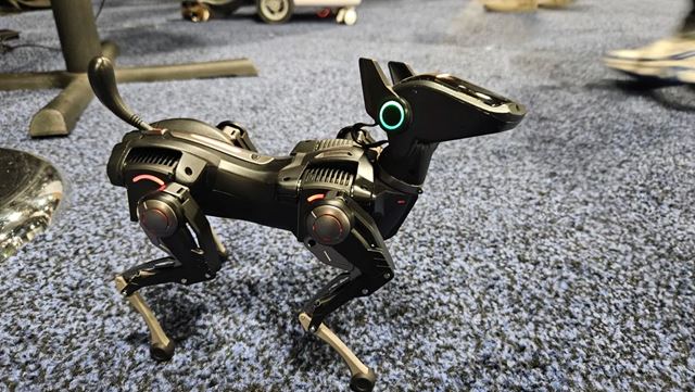 CES ukázalo expanziu robotov