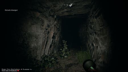 Fearwoods vás ponorí do strašidelnej tmy, môžete tam byť s dvomi kamarátmi