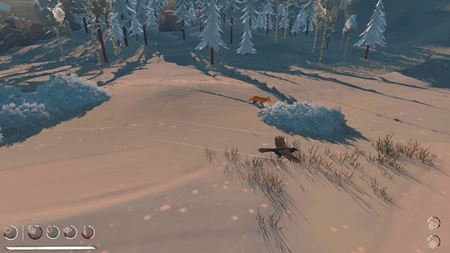 Migration vám ponúkne vtáčí život, ktorý prežijete ako vrana