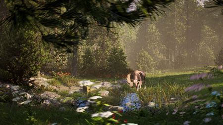 Next Hunting Adventure od slovenského štúdia Nine Rocks sa bližšie predstavuje