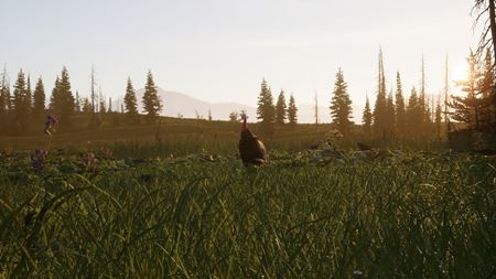 Next Hunting Adventure od slovenského štúdia Nine Rocks sa bližšie predstavuje