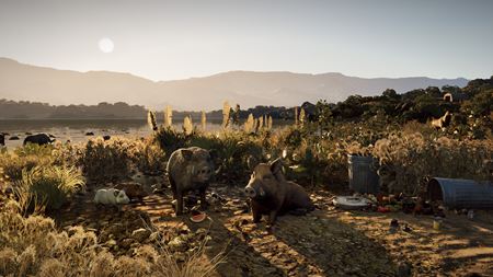 Wild Terrain z vás urobí divú sviňu na ceste za dobrodružstvom