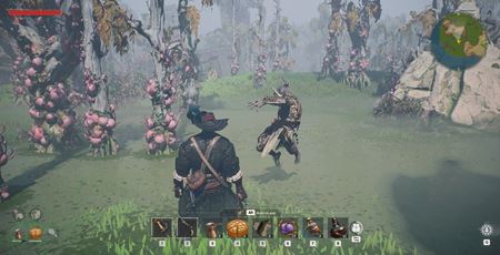 Crosswind, pirátska survival MMO hra, spustila playtest