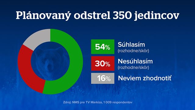 Slováci v tom majú jasno: Medveď do prírody patrí! Ale čo s tými, ktoré sa k ľuďom až priveľmi približujú?